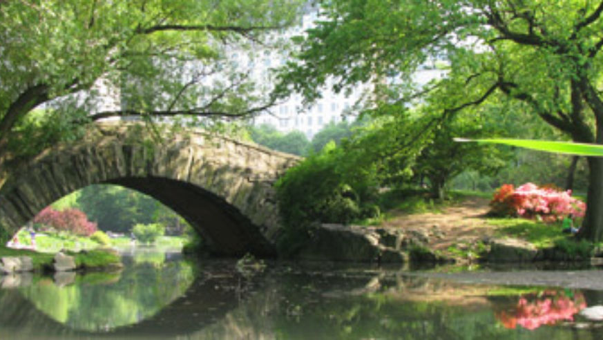 blog_100121_centralpark_pano_original.jpg
