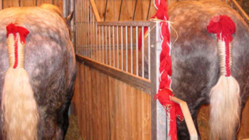 blog_100225_horsetails_pano_original.jpg