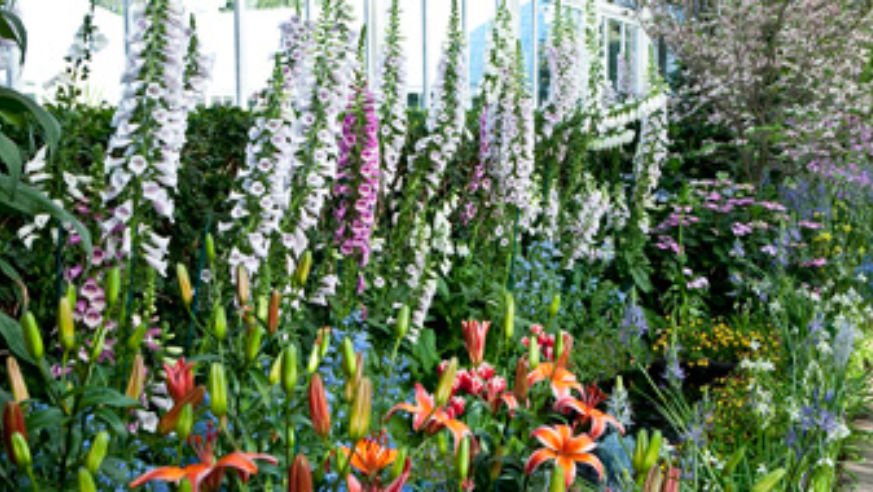 blog_100430_botanicalgardens_pano_original.jpg