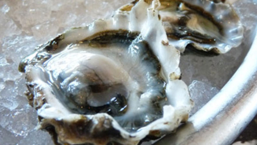 blog_100513_oyster_popup_original.jpg