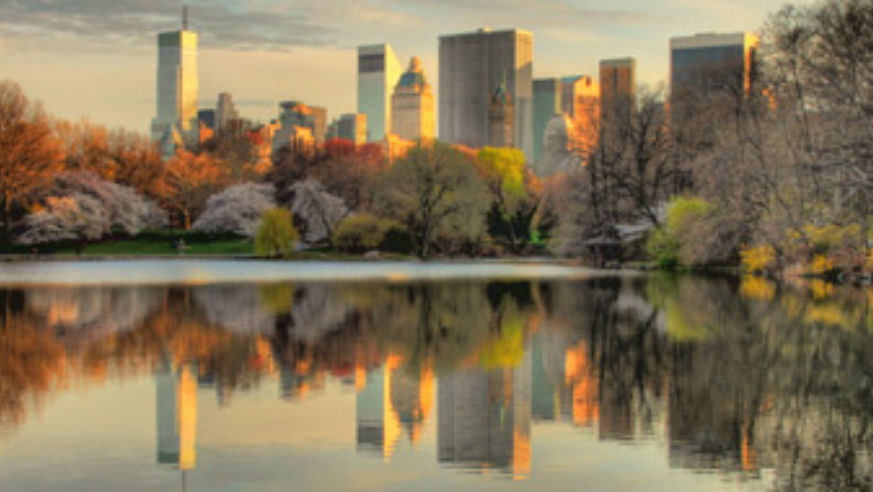 blog_100524_centralpark_pano_original.jpg