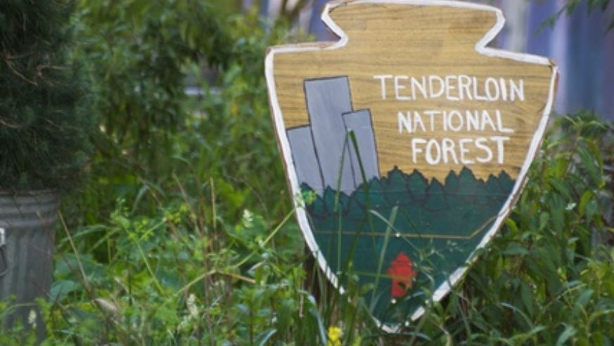 blog_100602_tenderloinforest_popup_original.jpg