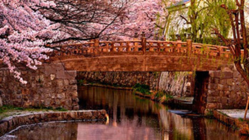 blog_100730_readersbridges_pano_original.jpg