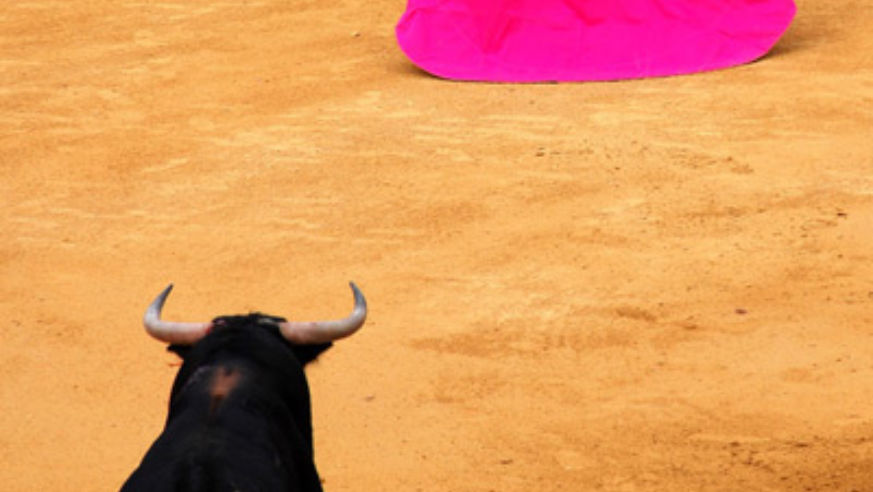blog_100803_bullfights_popup_original.jpg