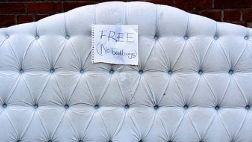 blog_100827_bedbugs_pano_original.jpg
