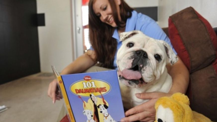 blog_100903_disneypetcare_popup_original.jpg