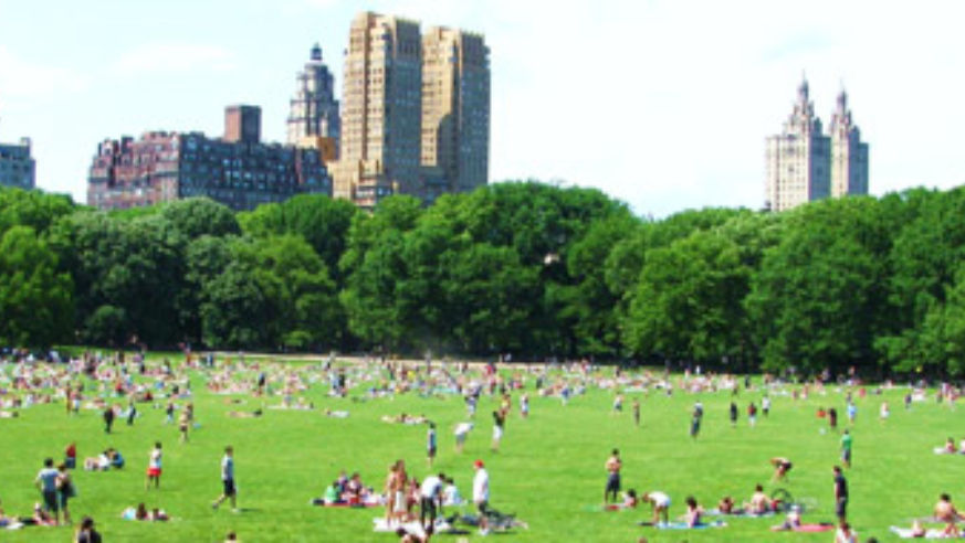 blog_100922_nyccentralpark_pano_original.jpg