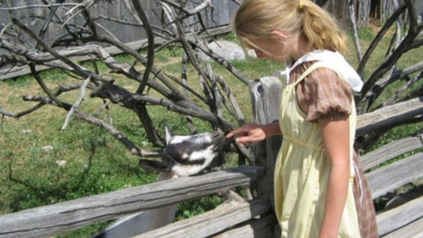 blog_110107_farmstays_popup_original.jpg