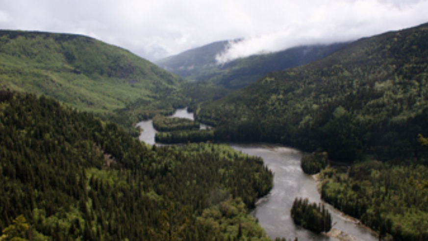 blog_4643205593_0f1ef052de_o_original.jpg