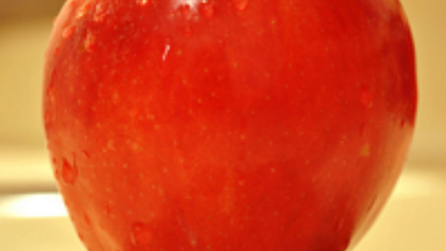 blog_5615484030_ff866c8c5a_z_original.jpg