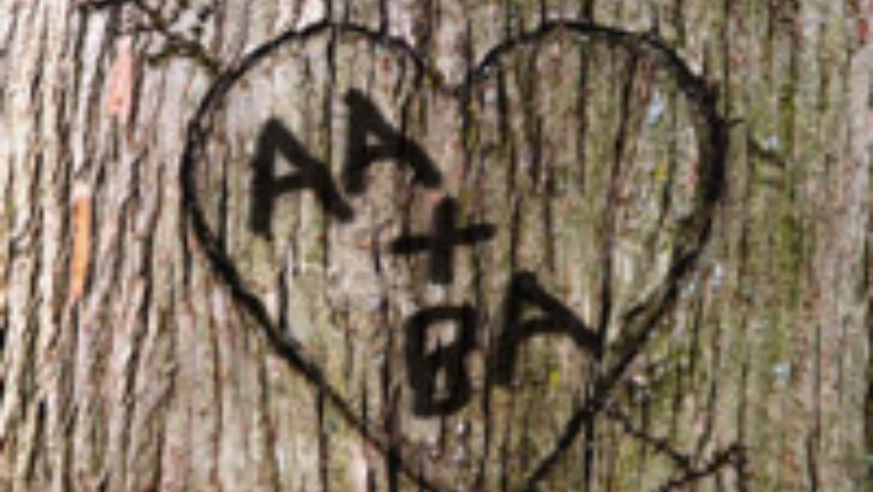 blog_aalovesba_original.jpg