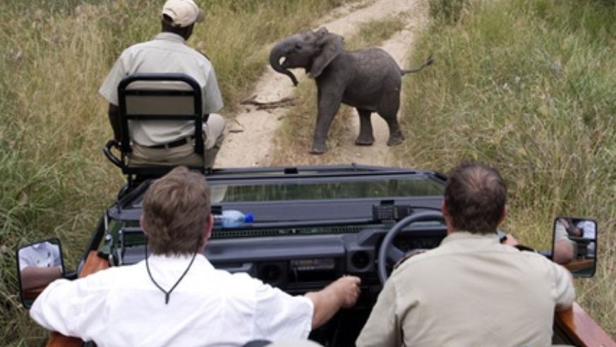 blog_adventuresbydisney_safrica_original.jpg