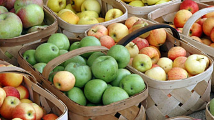 blog_applesapplesapples_original.jpg