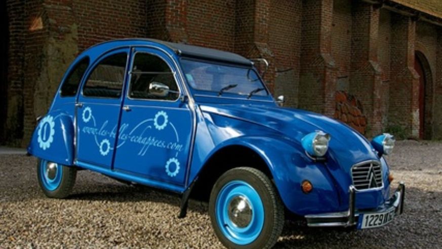 blog_beetletourdefrance_original.jpg