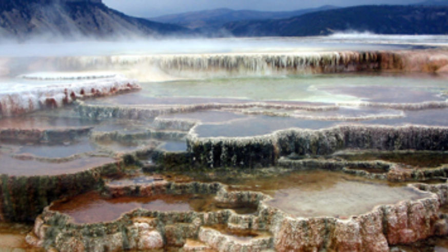 blog_bettercropofyellowstone_original.jpg