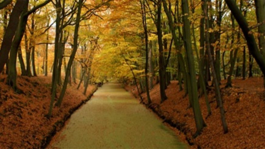 blog_btfalltravel_original.jpg