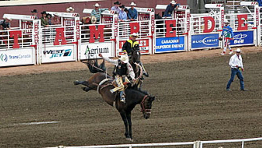 blog_calgarystampede_original.jpg