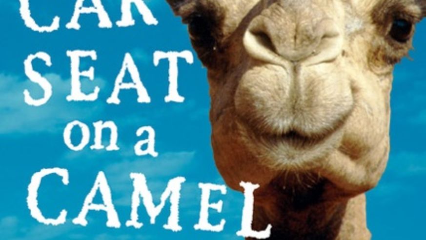 blog_carseat_camel_original.jpg