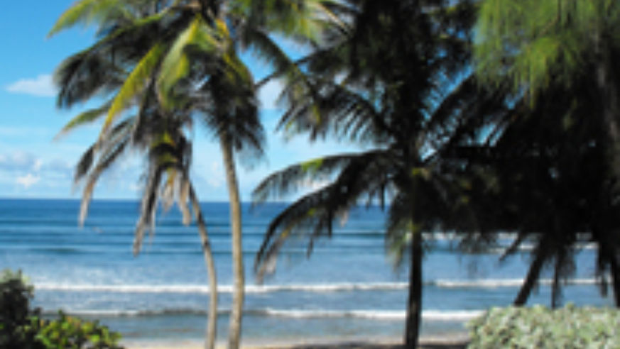 blog_croppedbarbadosbeach_original.jpg