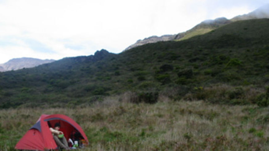 blog_croppedcamper_original.jpg