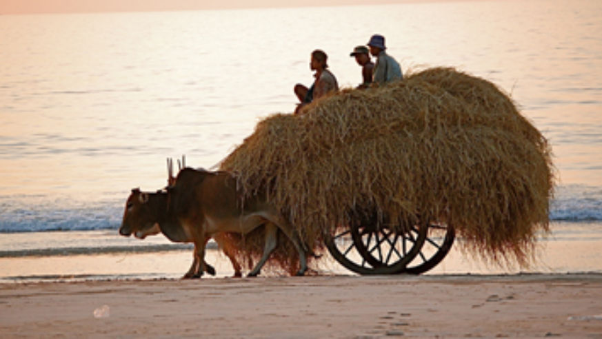 blog_croppedmyanmar_original.jpg
