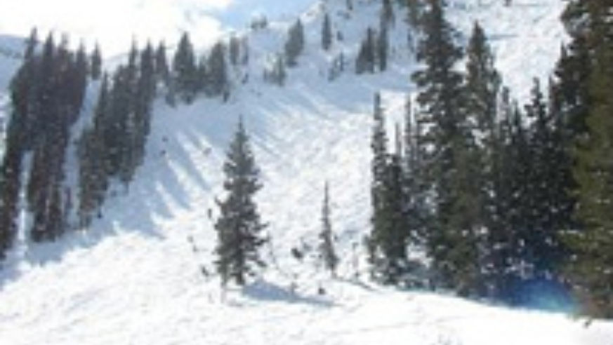 blog_croppedski_original.jpg