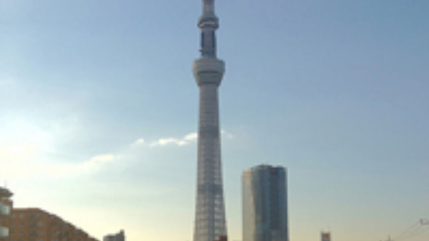 blog_croppedskytree_original.jpg
