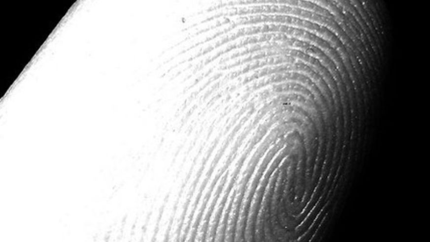 blog_fingerprint_original.jpg