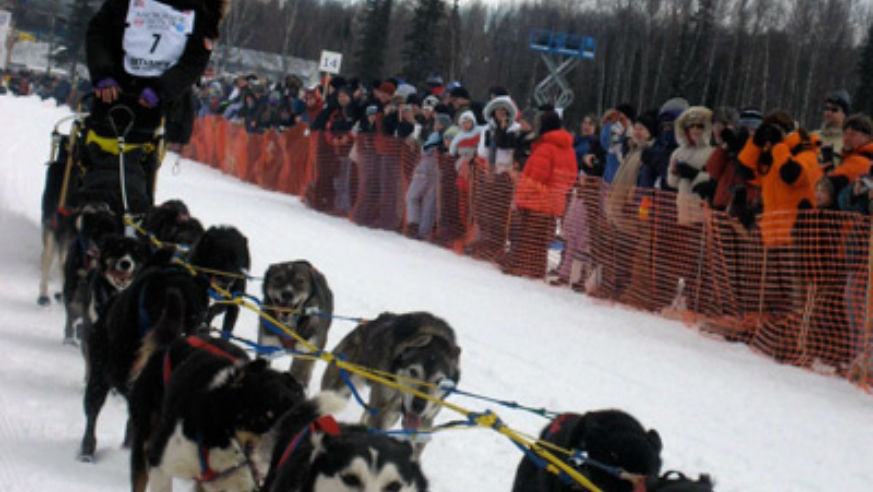blog_iditarod_original.jpg