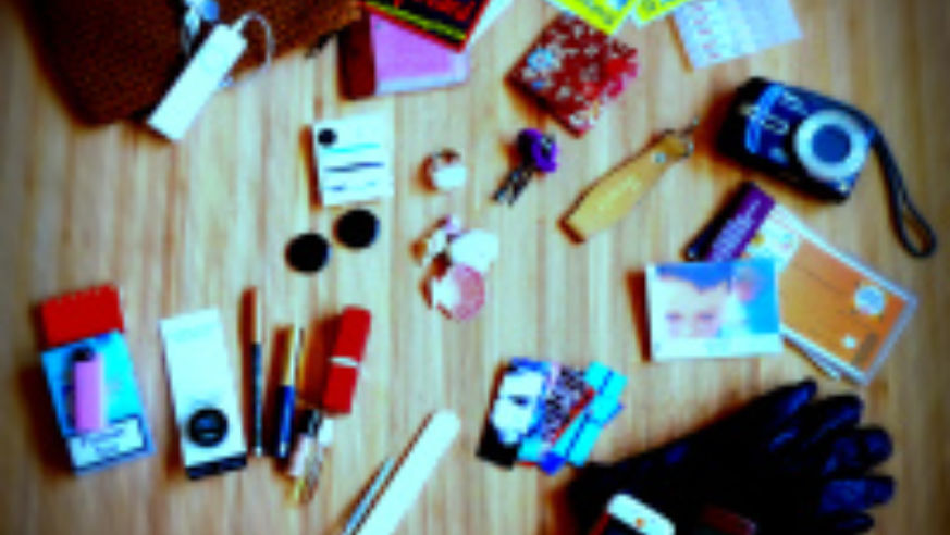 blog_insidebag_original.jpg