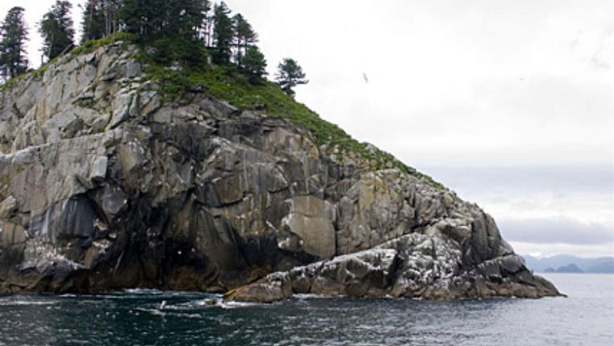 blog_kenaifjords_original.jpg