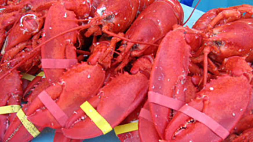 blog_lobsterclaws_original.jpg
