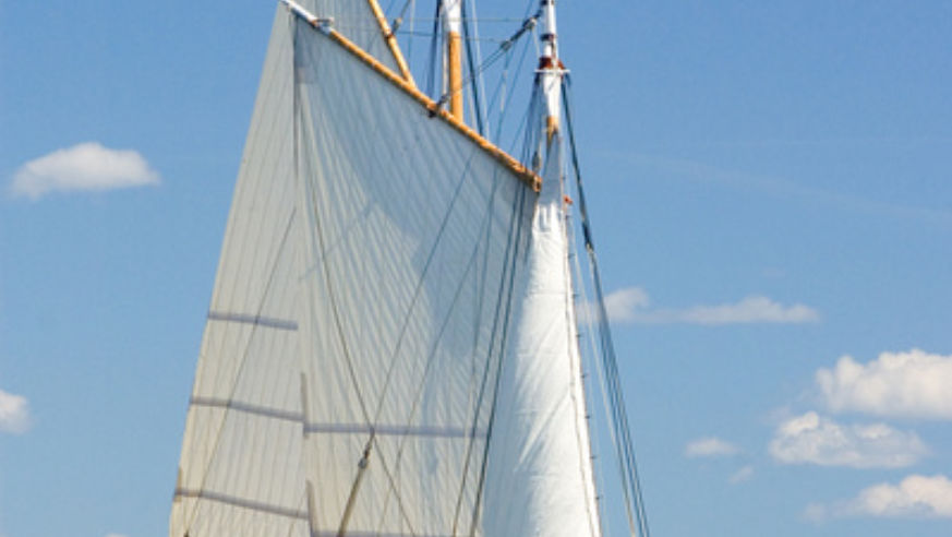blog_loismcclureburlington_full_original.jpg