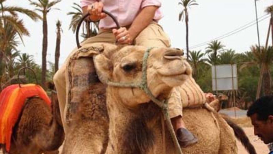 blog_marrakechcropped_original.jpg