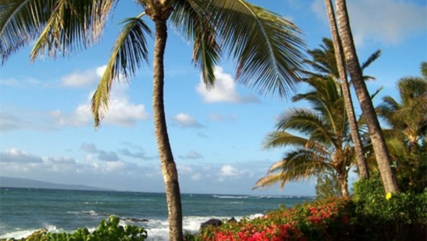 blog_mauibeach_original.jpg