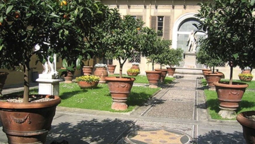 blog_palazzomedici_original.jpg
