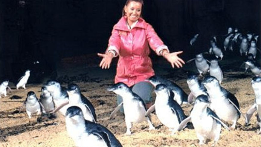 blog_penguinparade_original.jpg