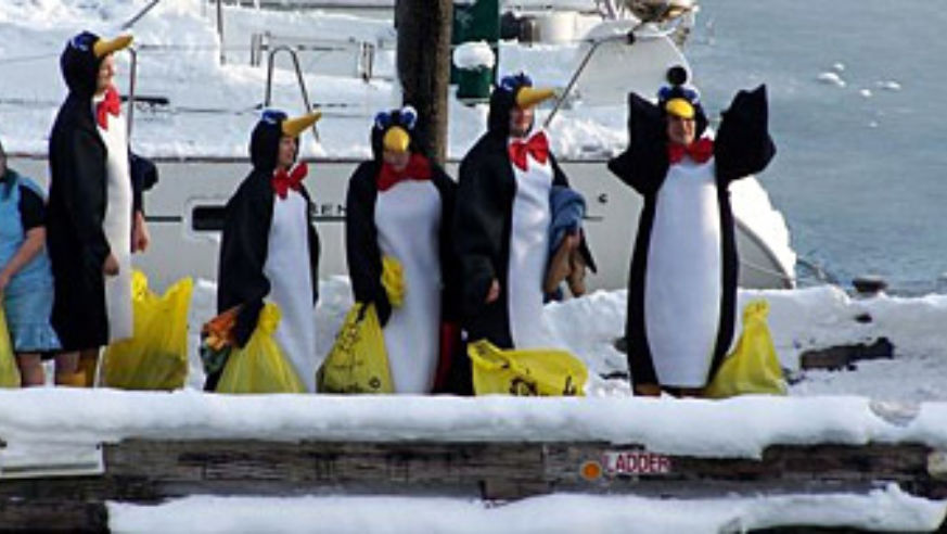 blog_polarbearjumpoff_panoramic_original.jpg