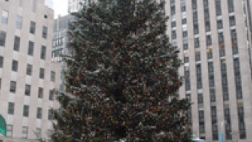 blog_rocktreexmas_original.jpg