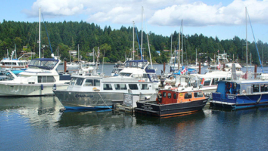 blog_saltspringisland_original.jpg