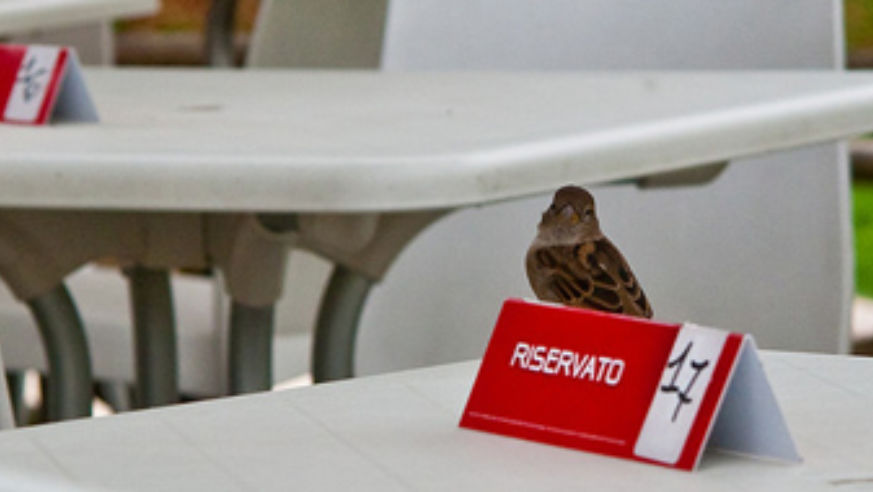 blog_table_original.jpg