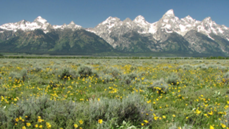 blog_tetons_original.jpg