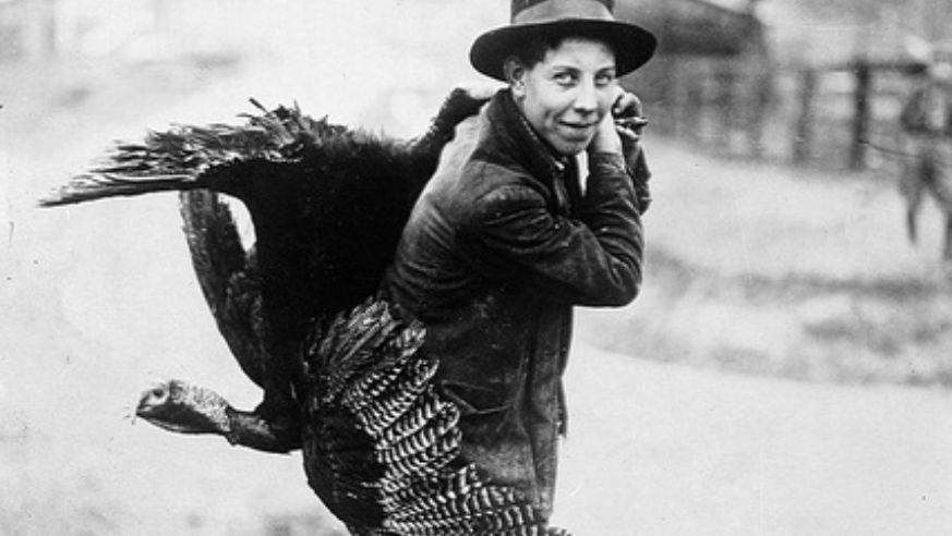 blog_thanksgivingturkey_original.jpg