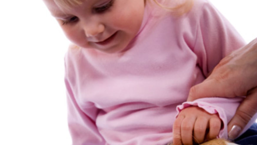 blog_toledozoobabies_original.jpg