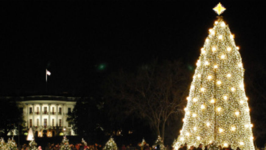 blog_xmastree_original.jpg