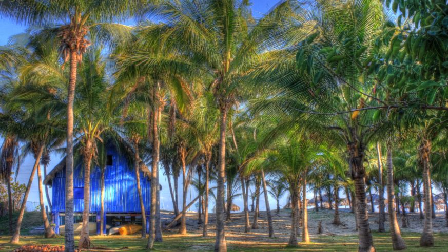 boat shed and palm trees on the beach in cuba