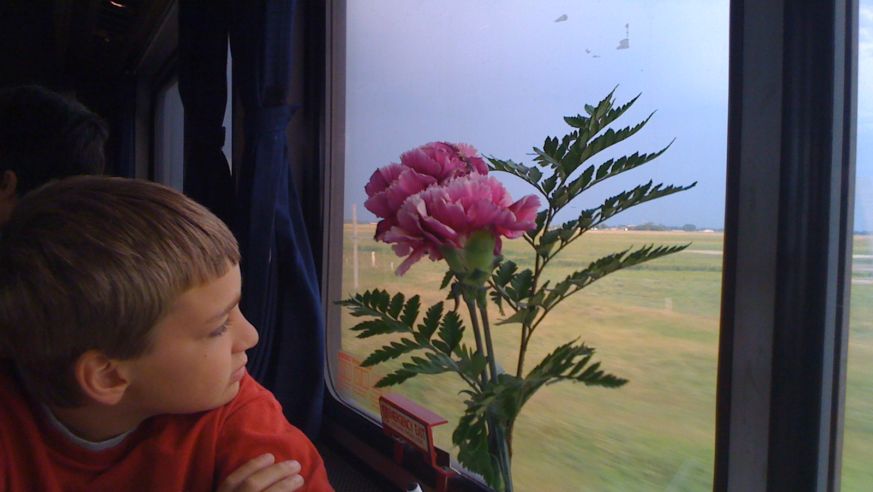 Boy looking out train window tips for traveling with kids