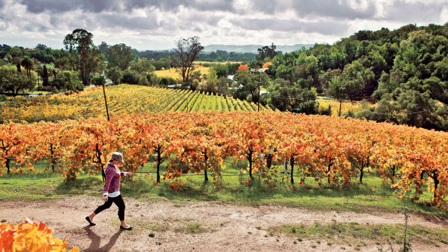 Calif Wine_1
