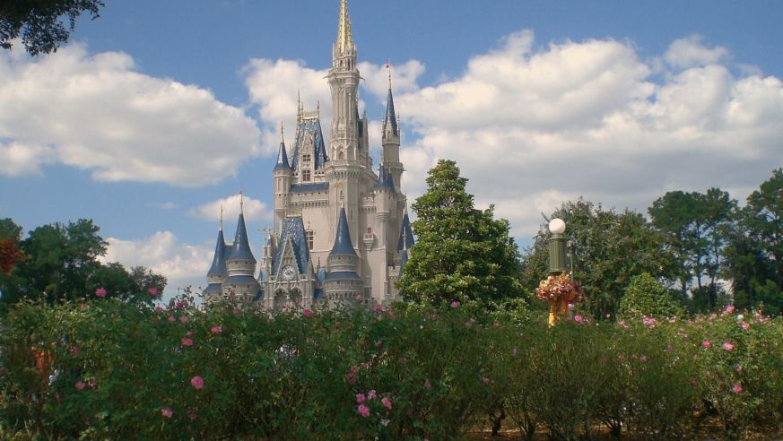Disney World