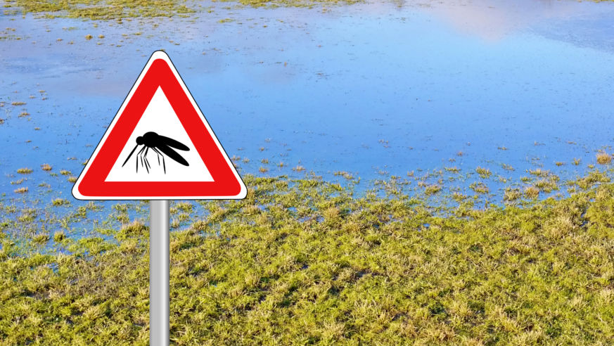 Mosquito sign